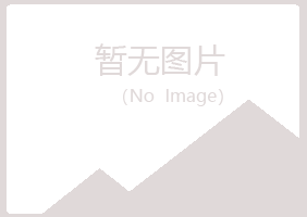 四平铁西晓夏咨询有限公司